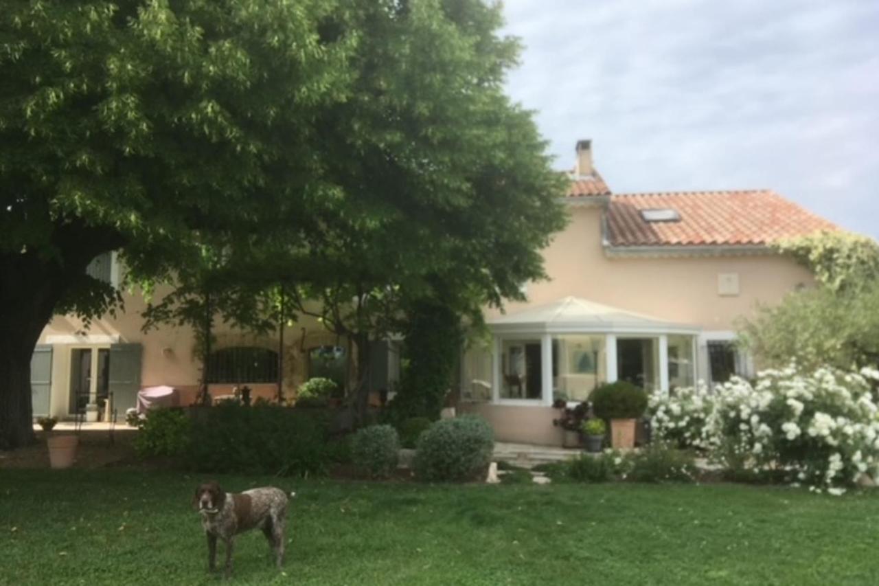 Stunning Property Between Alpilles And Luberon 卡瓦永 外观 照片