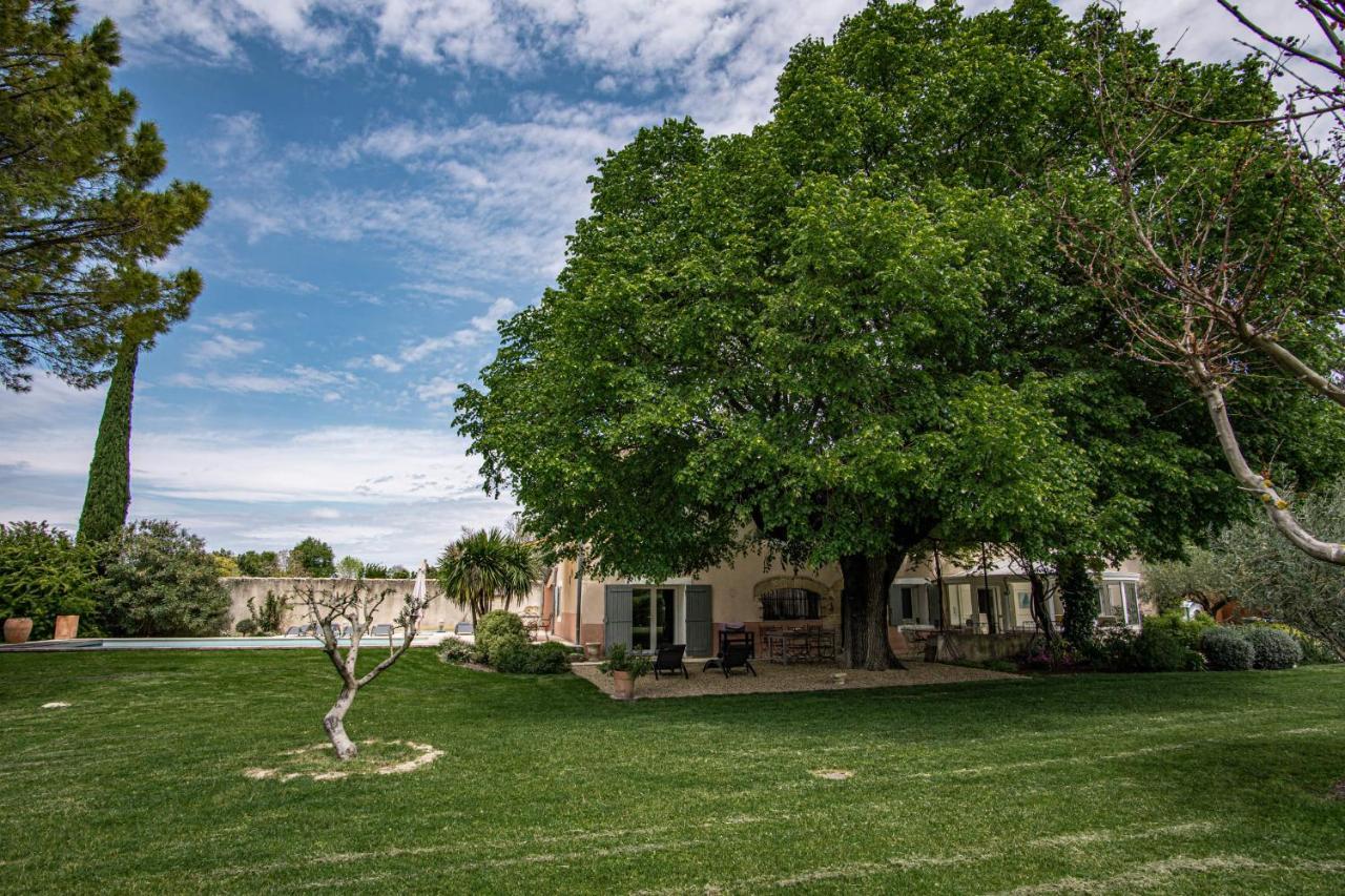 Stunning Property Between Alpilles And Luberon 卡瓦永 外观 照片